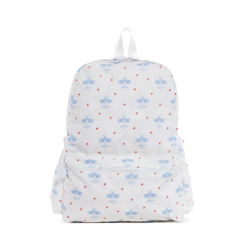 Backpacker - David's Airplanes