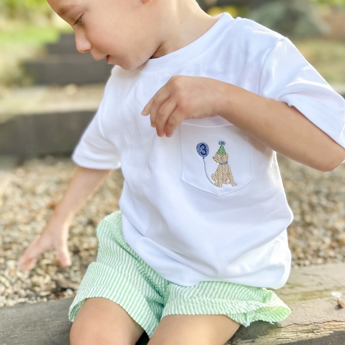 Short Sleeve Pocket Tee